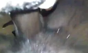 Ezenwanyị Ebony na-a ...